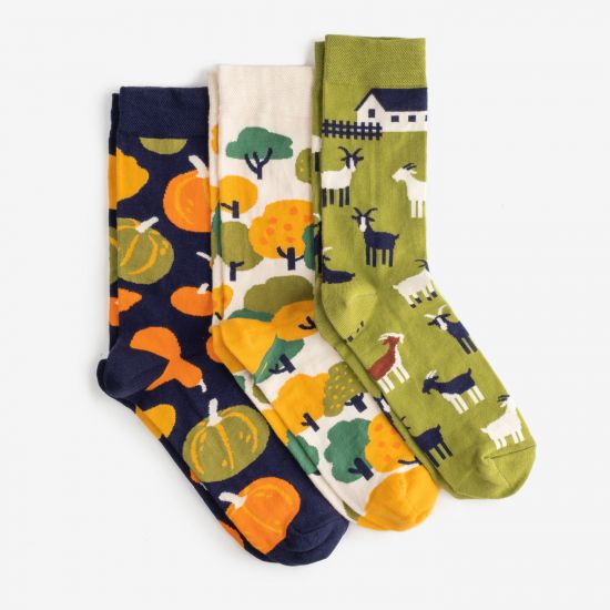 Dodo Socks Набор Hutir