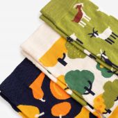 Dodo Socks Набор Hutir