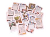 Элементарно! Живописная афера