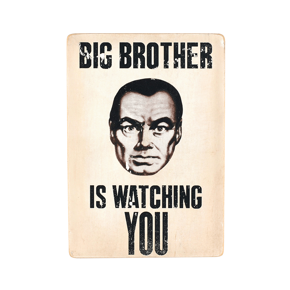 Деревянный постер "Big Brother is watching You"