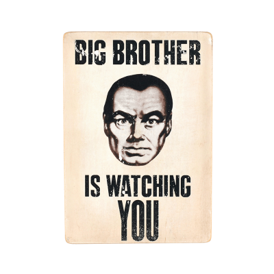 Деревянный постер "Big Brother is watching You"