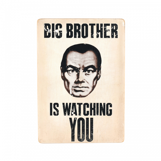 Деревянный постер "Big Brother is watching You"