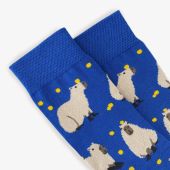 Шкарпетки Prizmo Капібара