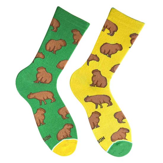 Носки Дед Носкарь Капибары