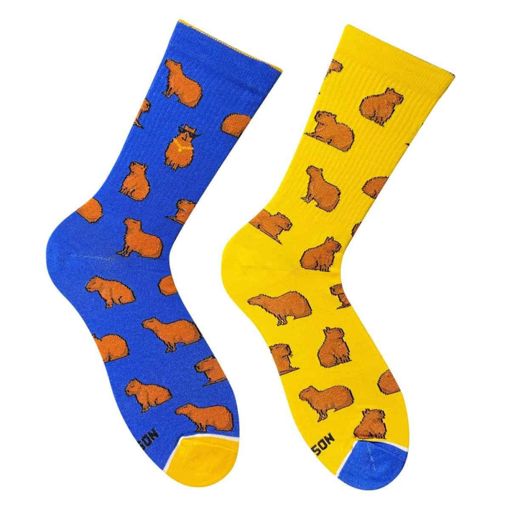 Шкарпетки Дід Носкарь Капібара з цепурою