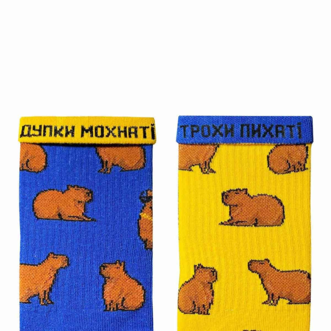 Шкарпетки Дід Носкарь Капібара з цепурою