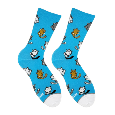 Шкарпетки Дід Носкарь Kitten Blue