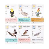 Крила: Птахи Європи (UA) 