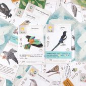 Крила: Птахи Європи (UA) 