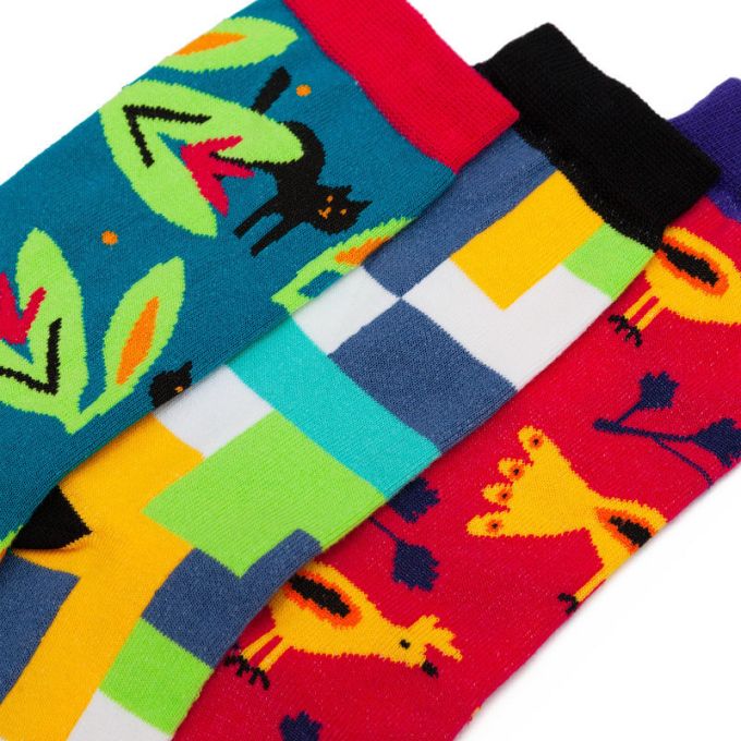 Шкарпетки Dodo Socks Набір Artista