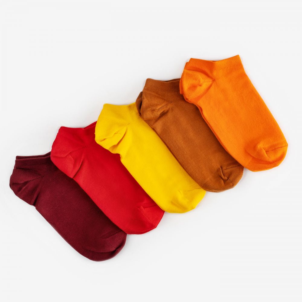 Шкарпетки Dodo Socks короткий набір Reds