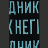 Шкарпетки CEH Негідник