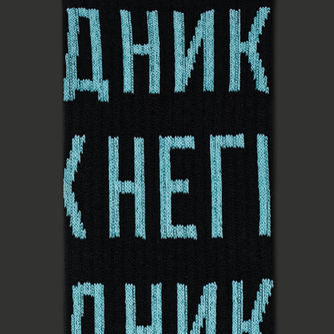 Шкарпетки CEH Негідник