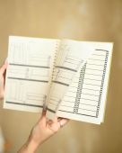 Планер QISO на полгода Облипиха