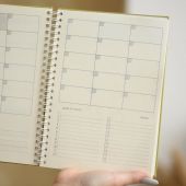 Планер QISO на полгода Чайки