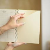 Планер QISO на полгода Чайки