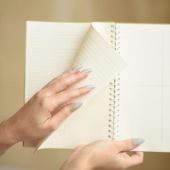 Планер QISO на полгода Чайки