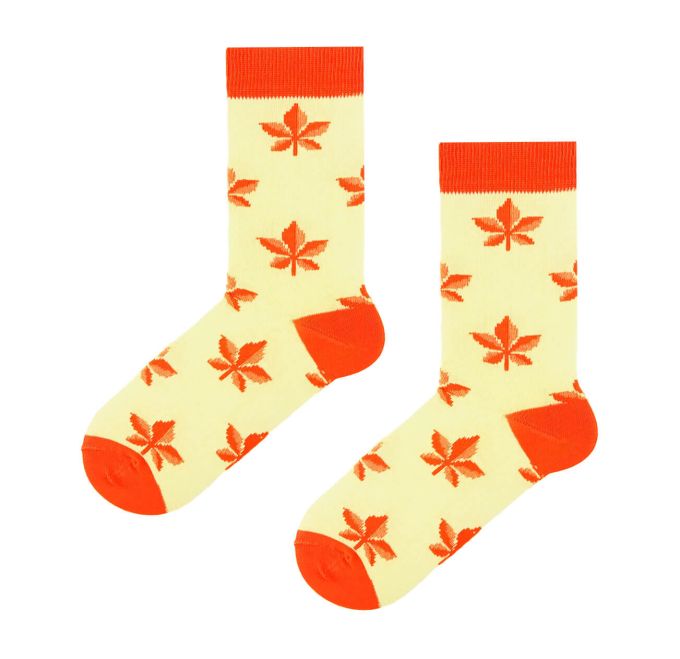 Шкарпетки SOX Autumn 