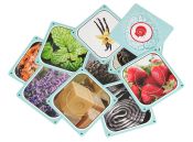 Кортекс 3 (Cortex Challenge 3)