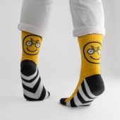 Носки Dodo Socks Rover