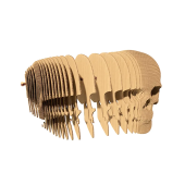 Картонний 3Д пазл "Череп"