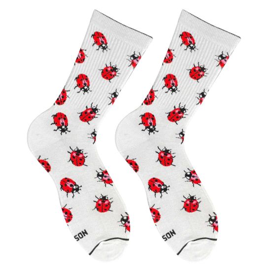 Носки Дед Носкарь Божьи коровки