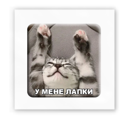 3D-стікер "У мене лапки"
