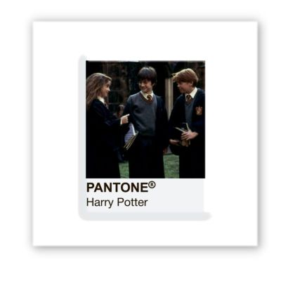 3D-стікер "Pantone Potter 1"