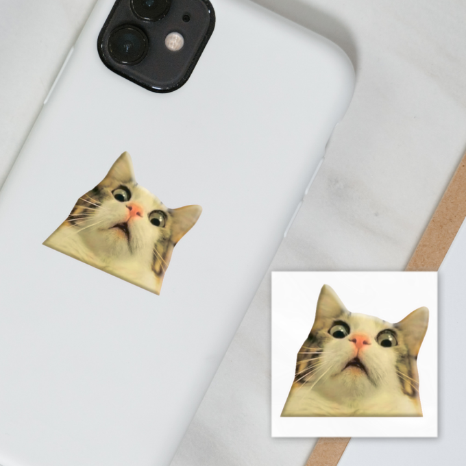 3D-стікер "Мем здивований котик"