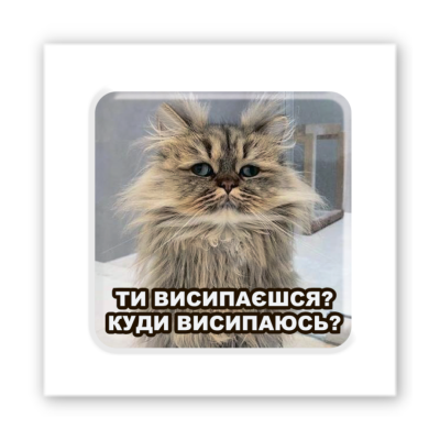 3D-стікер "Сонний кіт"