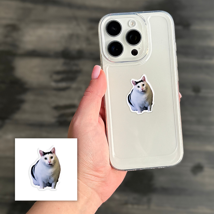 3D-стікер "Cat Says"