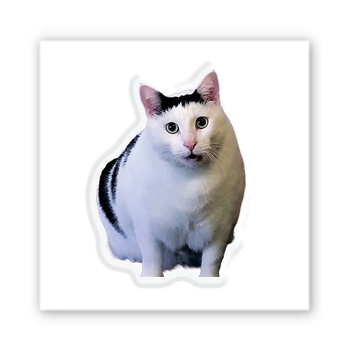 3D-стікер "Cat Says"