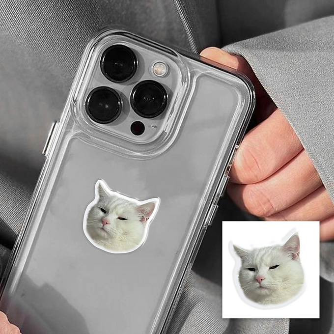 3D-стікер "Serious Cat"