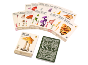 Мицелия (UA) / Mycelia (UA) Мицелия (UA) / Mycelia (UA)