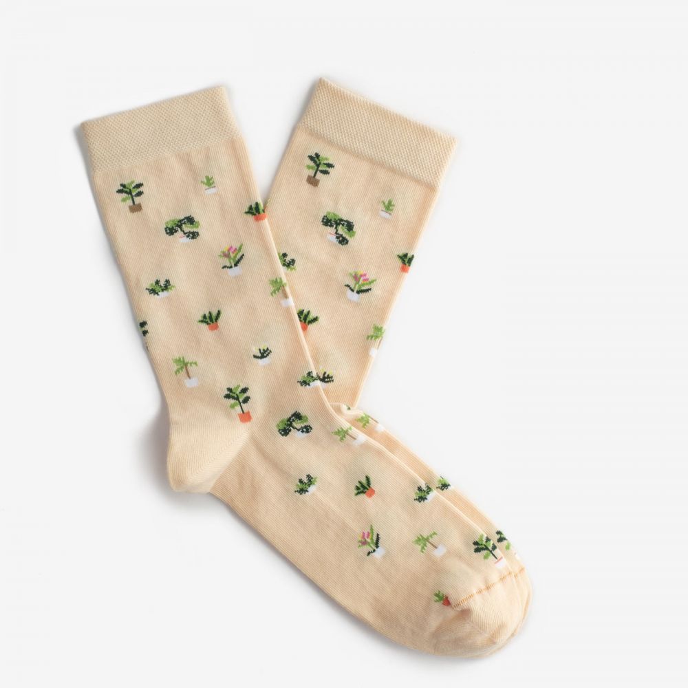 Шкарпетки Dodo Socks Вазони