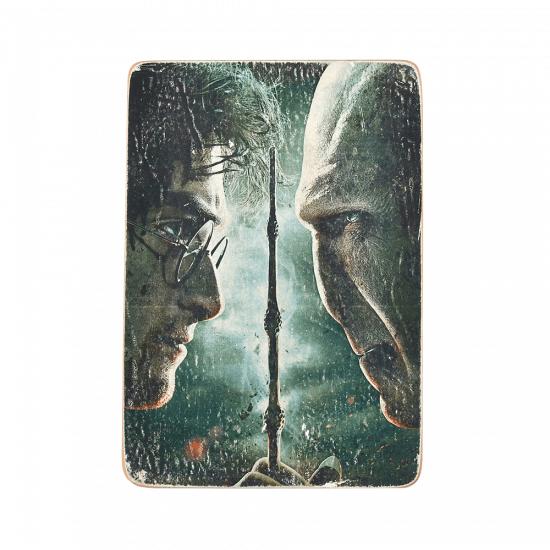 Деревянный постер "Harry Potter. Гарри Поттер и Волдеморт"