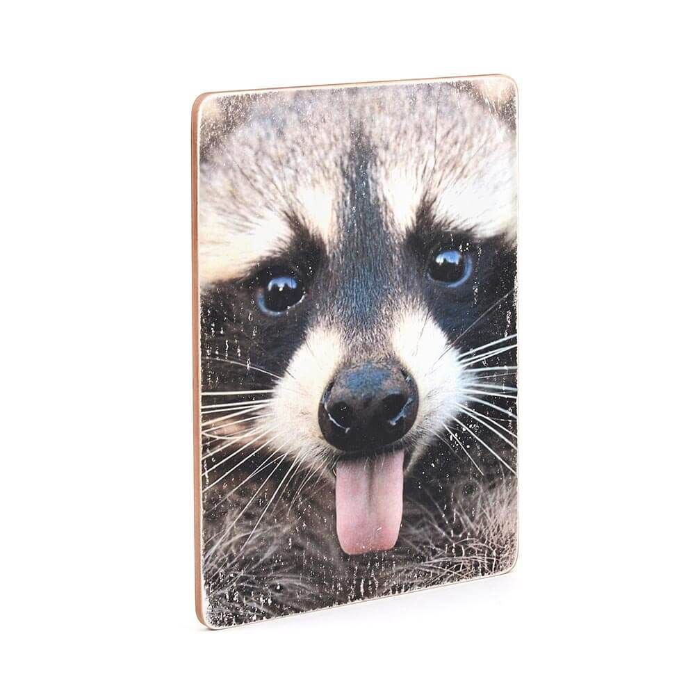 Деревянный постер "Raccoon"