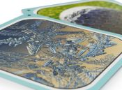 Кортекс 2 (Cortex Challenge 2)